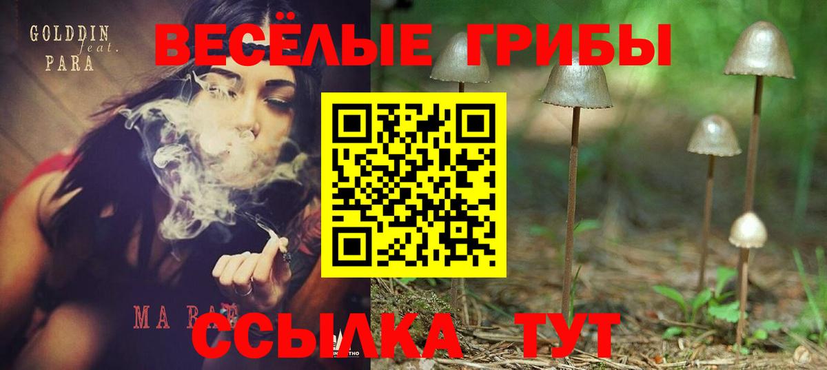 Галлюциногенные грибы прущие грибы Сегежа